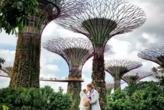 新加坡有普通法婚姻吗?