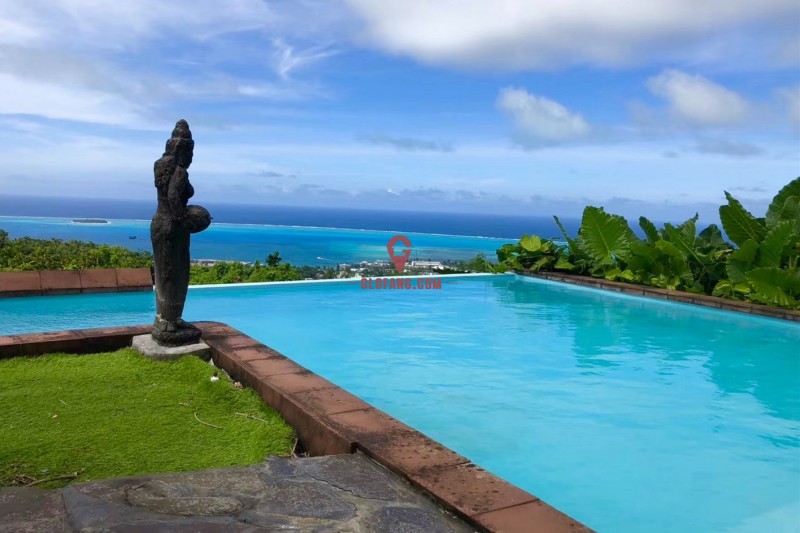 �������ൺ���������������51568