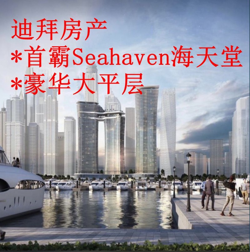 ϰݷ*װSeahaven*ƽ