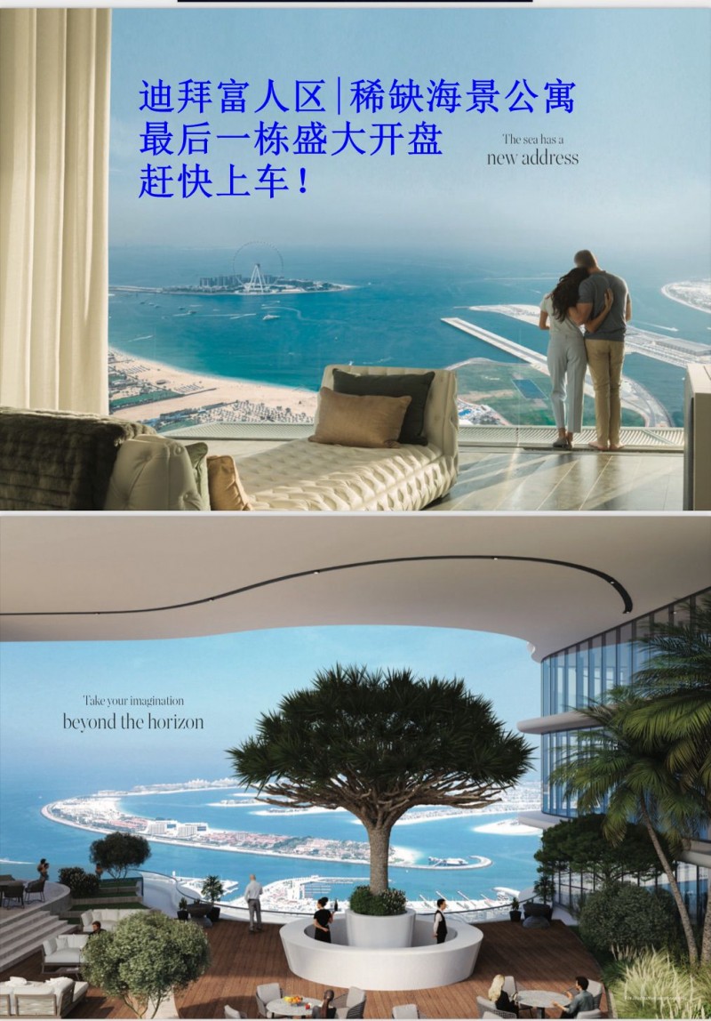 迪拜房产*迪拜富人区|稀缺海景公寓|首霸Seahaven