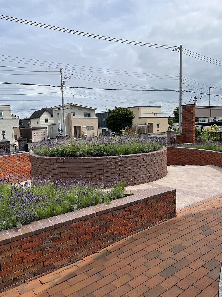 ���������Ǳ����ɶȼ�����&��Ͷ�ʣ������52785