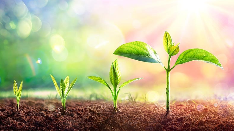 热点专家评出2024年成功房产投资者的十大特质_海外购房指南_资讯_外房网