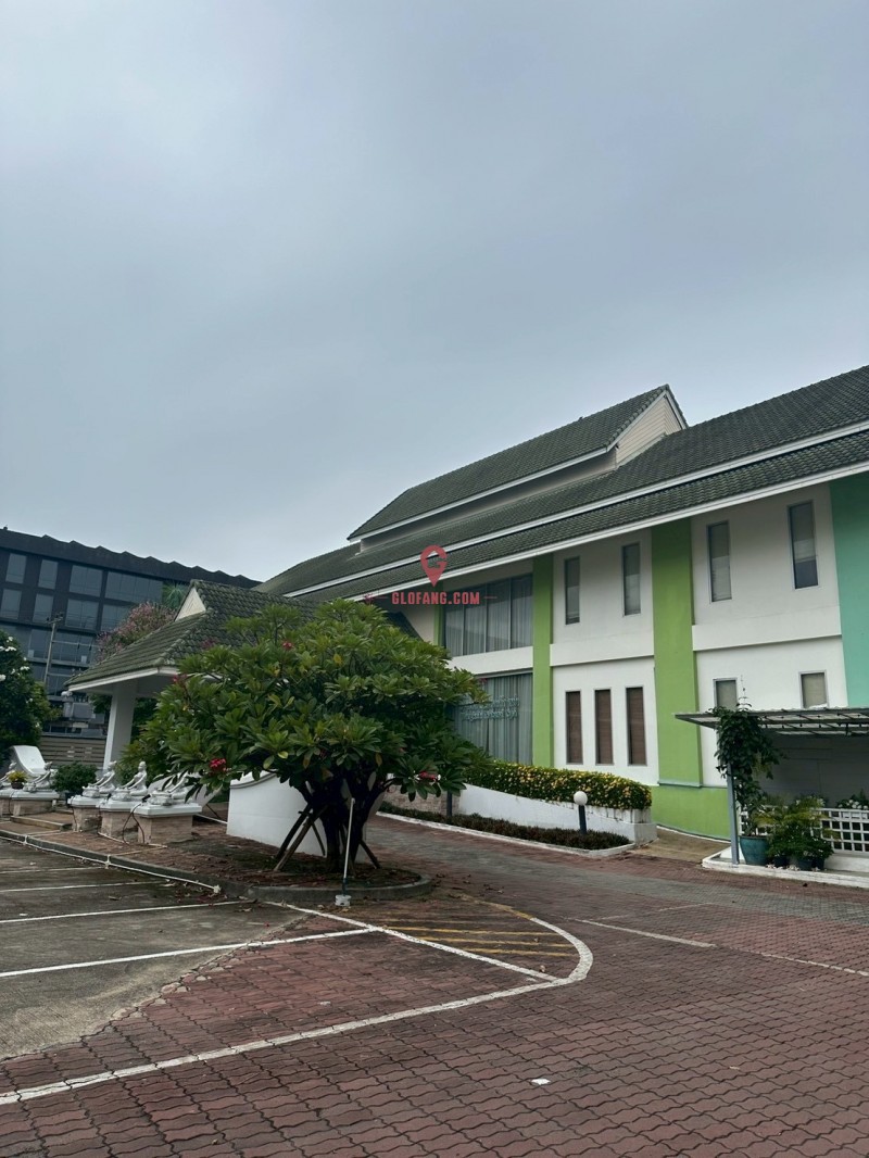 ̩�����������ǾƵ꣬���54751