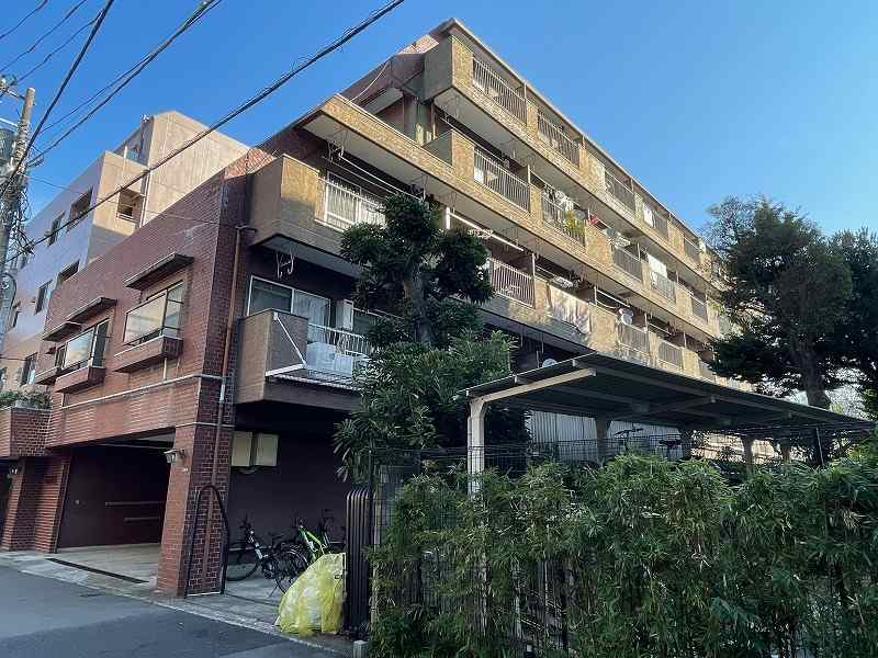 ��������-�������﹫Ԣ�����54797