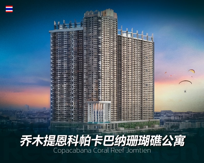 ����������ɺ���� ��ľ���