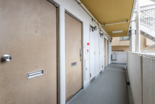 ���ձ���Ԣ����ر���5������